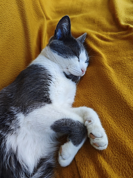 2024-08-31 08.18.42.jpg