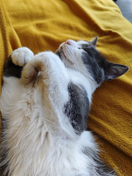 2024-08-31 08.22.55.jpg