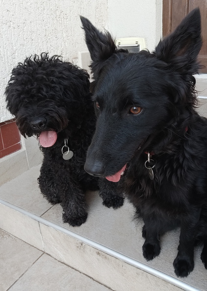 2024-09-19 22.59.13.jpg