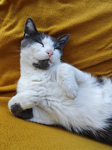 2024-08-31 08.19.28.jpg