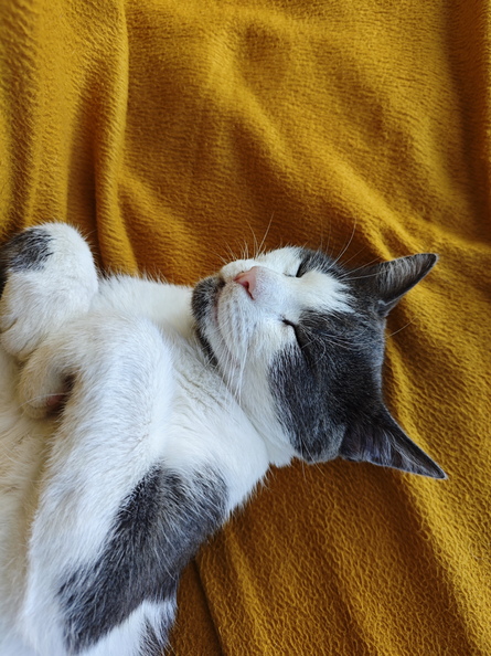 2024-08-31 08.22.18.jpg